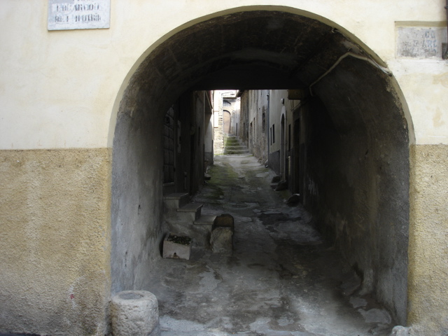 DSC02590.JPG