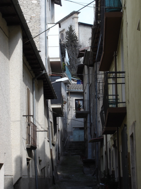 DSC02598.JPG