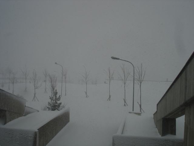 DSC02660.JPG