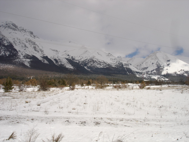 DSC02563.JPG