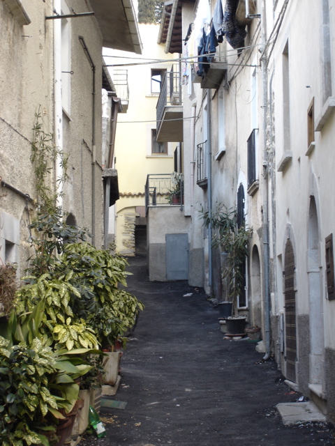 DSC02595.JPG