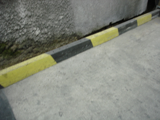 DSC04157.JPG