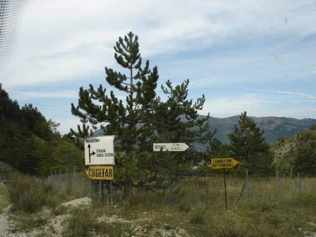 DSC04319.JPG