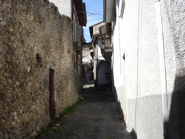 DSC06221.JPG
